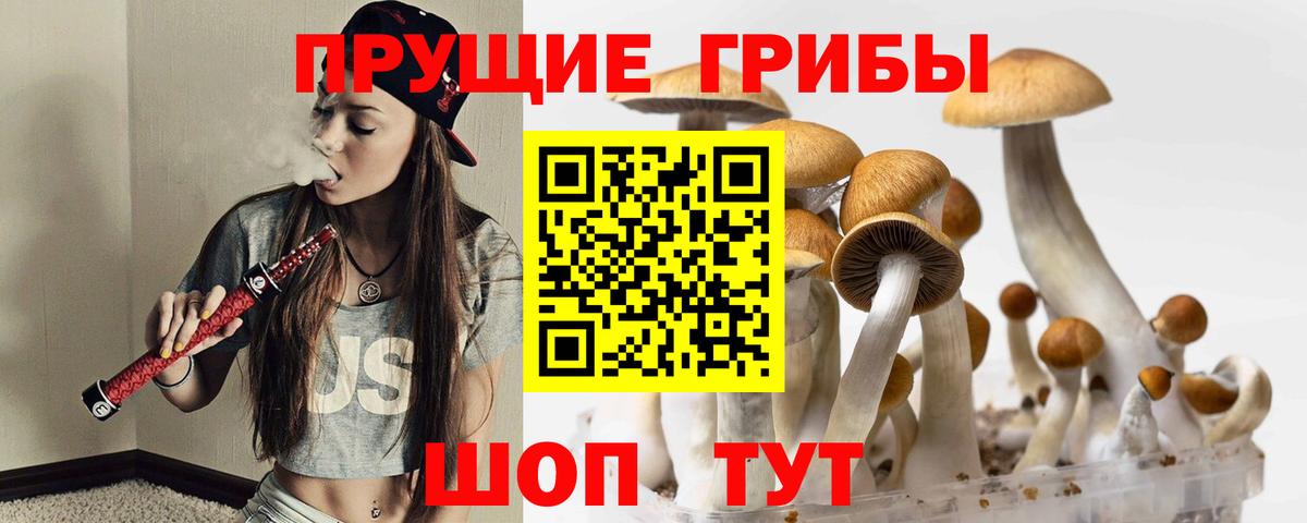 Галлюциногенные грибы мухоморы  Вход с VPN  Кирово-Чепецк 